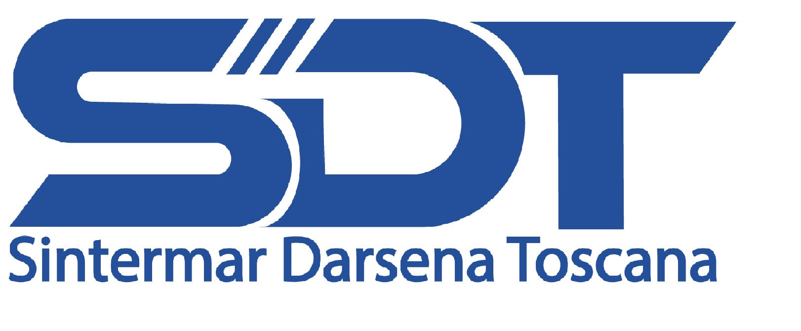 logo SDT